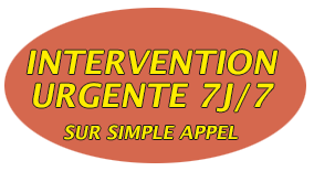 Intervention urgente Réparataion toiture 92